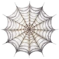 Obraz premium Close-up of a detailed spider web, showcasing its intricate patterns and natural artistry against a white background.