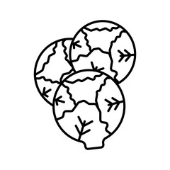 Brussels sprouts Cabbage icon linear logo mark in black and white