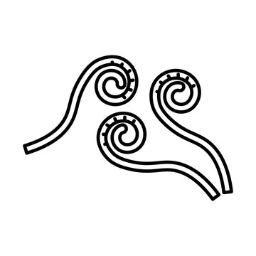 fiddleheads icon linear logo mark in black and white
