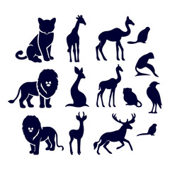 A diverse collection of animals for educational and research purposes