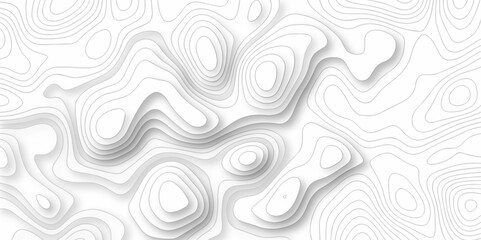 Vector white wave line geography landscape Topo contour map on white background. Geographic mountain relief diagram line wave carve pattern. Topographic world map contour lines map.