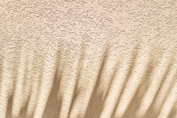 The shadow of leaves falling on the wall. Long, sharp leaves. In the morning sun with space to copy. High quality photo