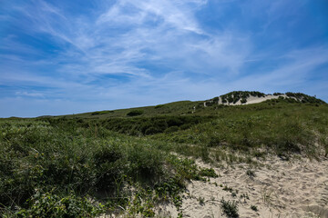 Picturesque green meadows and dunes on the island of Texel, in the north of the Netherlands.