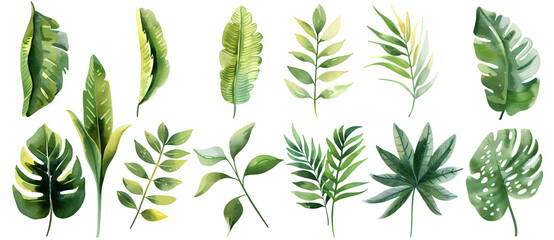 Vibrant watercolor illustration of various tropical leaves in different shapes and sizes, white background, clip art style, flat design


