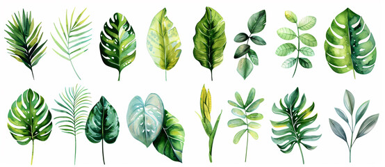 Vibrant watercolor illustration of various tropical leaves in different shapes and sizes, white background, clip art style, flat design


