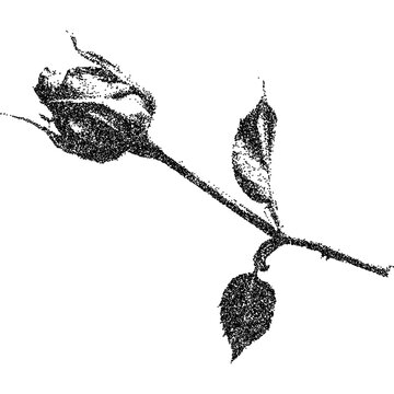 Flower with retro photocopy stipple effect, for grunge punk y2k collage design. Vector illustration in vintage halftone brutalist design for banner or poster