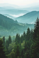 Fototapeta premium Misty mountain landscape with fir forest in vintage retro style , add copyspace for text