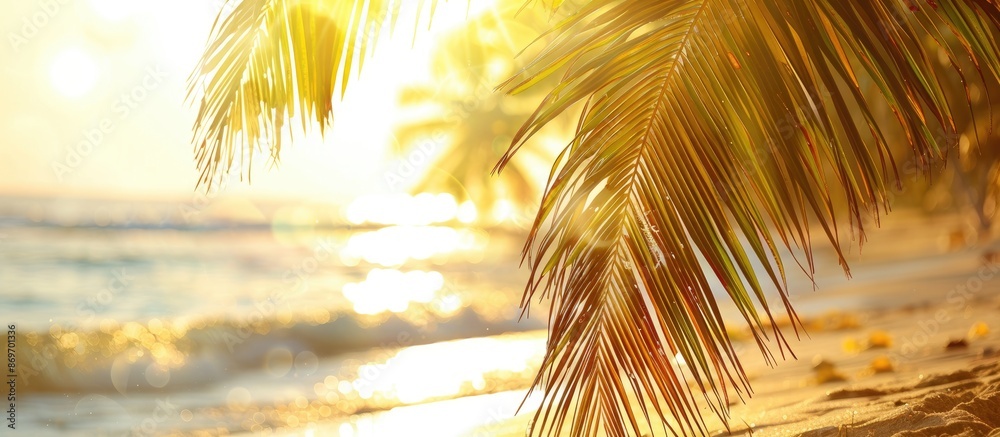 Poster Sunlight highlights a palm tree on the beach with selective focus, ideal for a copy space image.