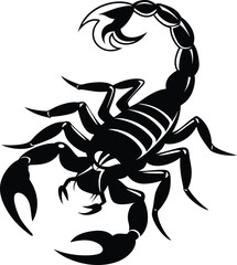 scorpion silhouette vector illustration 