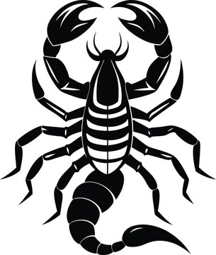 recommend clip art: scorpion silhouette vector illustration 