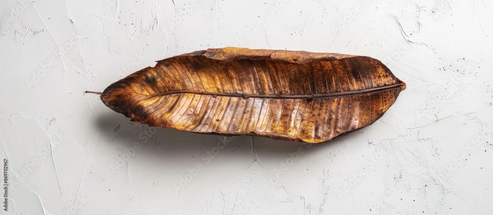 Aufkleber top-down view of a dried organic banana leaf on a white surface, ideal for food concepts and featuri