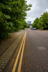 Empty suburban street lined with trees and parked cars, featuring double yellow lines on a cloudy day.