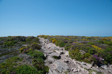 Fototapeta premium Magnifique paysage de mer depuis le sentier côtier GR34 du cap d'Erquy - Bretagne France