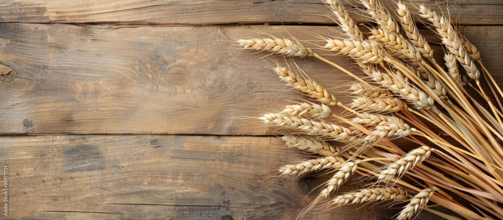 Poster A top-down view of wheat ears displayed on a wooden background with a clear area for text, suitable for a copy space image.