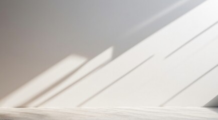 Sunlight is casting shadows on a white wall in an empty room