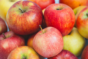 fresh apples, showcasing their vibrant red and yellow skins. The apples are arranged closely together, highlighting their crisp texture and natural appeal