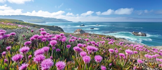 Obraz premium Coastal area with blooming pink ice plant offers a vibrant view with a copy space image.