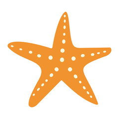 A starfish is drawn in orange and white. The starfish is drawn with a lot of detail, including the dots on its body