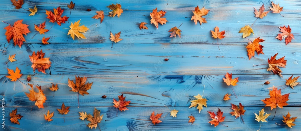 Poster rustic blue wooden table adorned with vibrant fall maple leaves, ideal for thanksgiving holidays. to