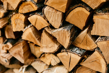 Fototapeta premium Rustic background of firewood stack in a forest setting