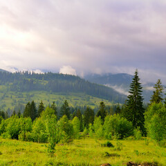 carpathian mountain valley after the rain.