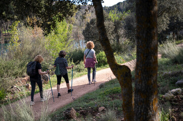 Fototapeta premium Three Middle-aged Sisters Hiking on a Forest Trail