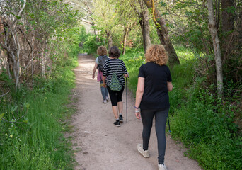 Middle-aged sisters walking along a forest path
