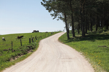 Up the hill rural road landscape. Summer meadow sandy path. Blue sky sunny day. Agricultural field road. Pasture grassland.