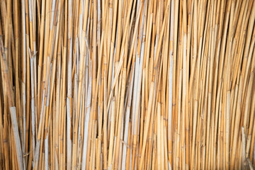 background of dry straw, texture of old hay
