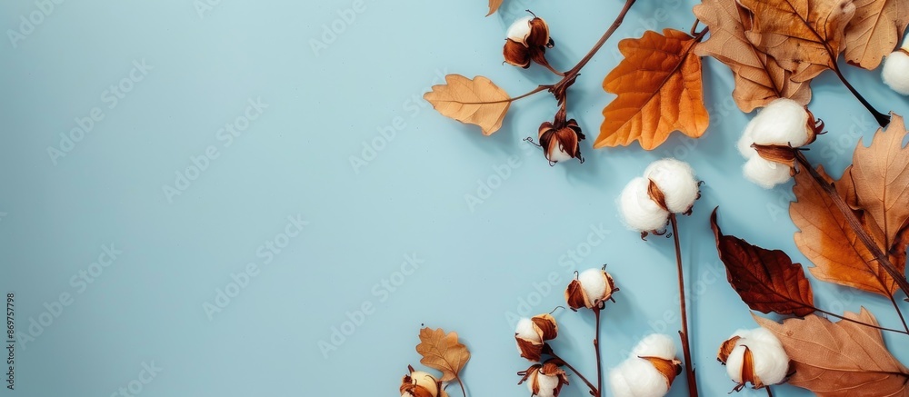 Poster autumn-themed arrangement with cotton flowers and dried leaves on a light blue backdrop for fall con