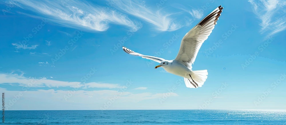 Poster a seagull soaring gracefully above the ocean with a clear blue sky background in a copy space image.
