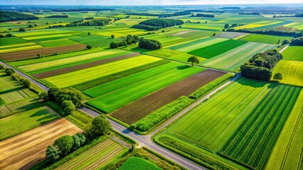 Fototapeta premium Overhead image of a verdant, cultivated landscape with a horizontal orientation, providing ample space for text. agriculture, crop, field, farm, nature