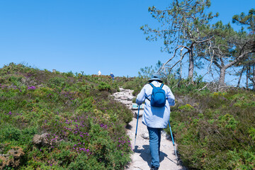 Randonneurs sur le sentier GR34 au cap d'Erquy en Bretagne - France