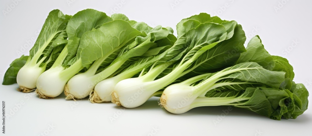 Poster Vegetables like bok choy arranged elegantly with ample white space for text or other elements in the image, useful for various designs requiring a copy space image.