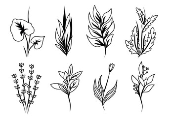 Set of botanical floral decorations in flat cartoon design. A set of stylized flowers and leaves, drawn in a linear style, can be a decoration of any design. Vector illustration.