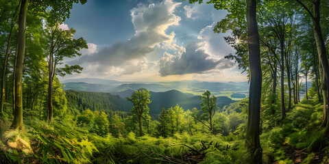 Obraz premium Forest tree Rainforest ecosystem and healthy environment