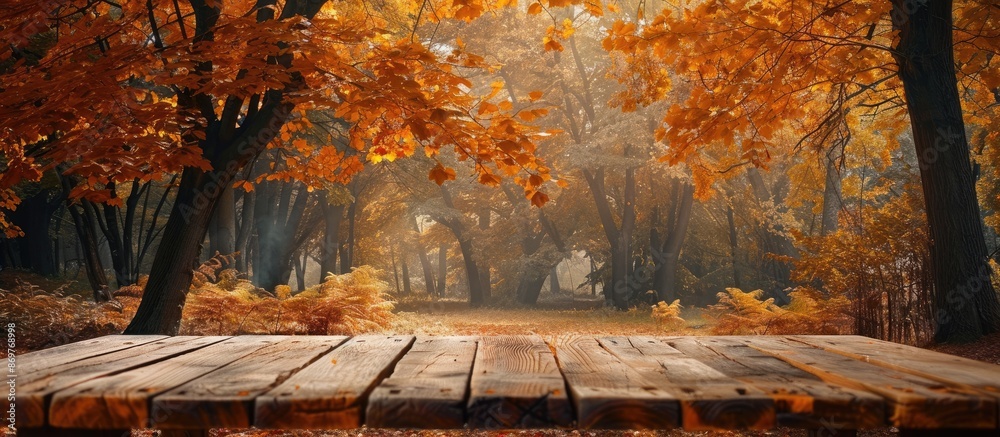 Aufkleber Autumn forest backdrop with trees a backdrop to an empty wooden table for placing inscriptions or advertisements. Ideal for copy space image.