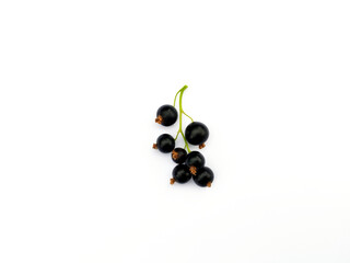 Cluster of black currant berries on white background