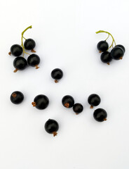 blackcurrant on white background