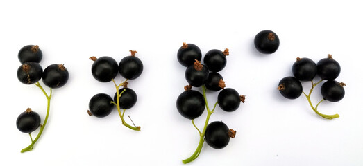black currant background, isolated berries