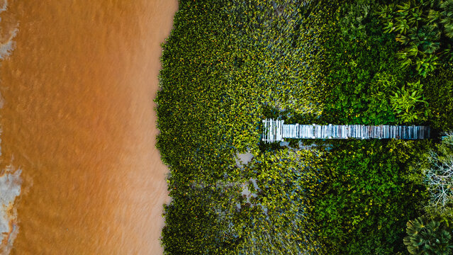 Mangal das Gar&ccedil;as Portal da Amaz&ocirc;nia Bel&eacute;m Par&aacute; Brasil Natureza Jardim Bot&acirc;nico Animais Aves Vegeta&ccedil;&atilde;o Tropical Paisagem Passeio Cultura Exposi&ccedil;&atilde;o Ambiente Natural Fauna Flora Ecoturismo Lago Drone PA