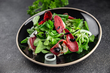 salad duck breast meat magret fresh meal food snack on the table copy space food background rustic top view