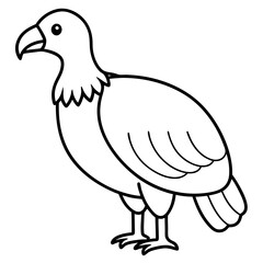 illustration of a bird