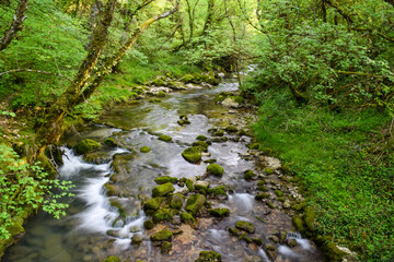 Obraz premium waterfall in the forest