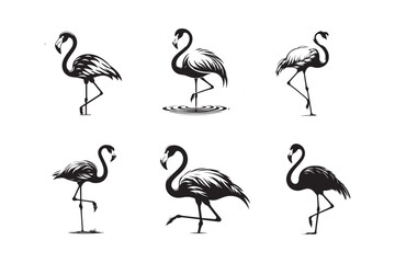 High quality Flamingo Silhouette Vector Illustration – Icon, Line Art, Clipart for Logos and Designs