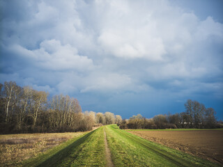 An embankment separating a riparian zone and farmland nearby the Vistula River, Poland.