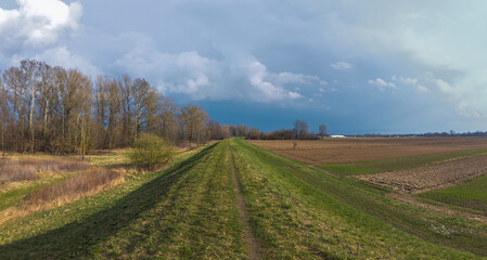 Fototapeta premium An embankment separating a riparian zone and farmland nearby the Vistula River, Poland.