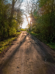 The sun setting over a dirt road.