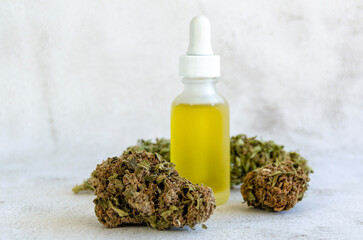 Botellas de cuentagotas cosméticas con aceite CBD cerca de cogollos verdes de cannabis sativa...