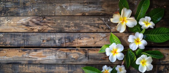 Obraz premium Wood texture with Plumeria on a natural backdrop provides an ideal copy space image.